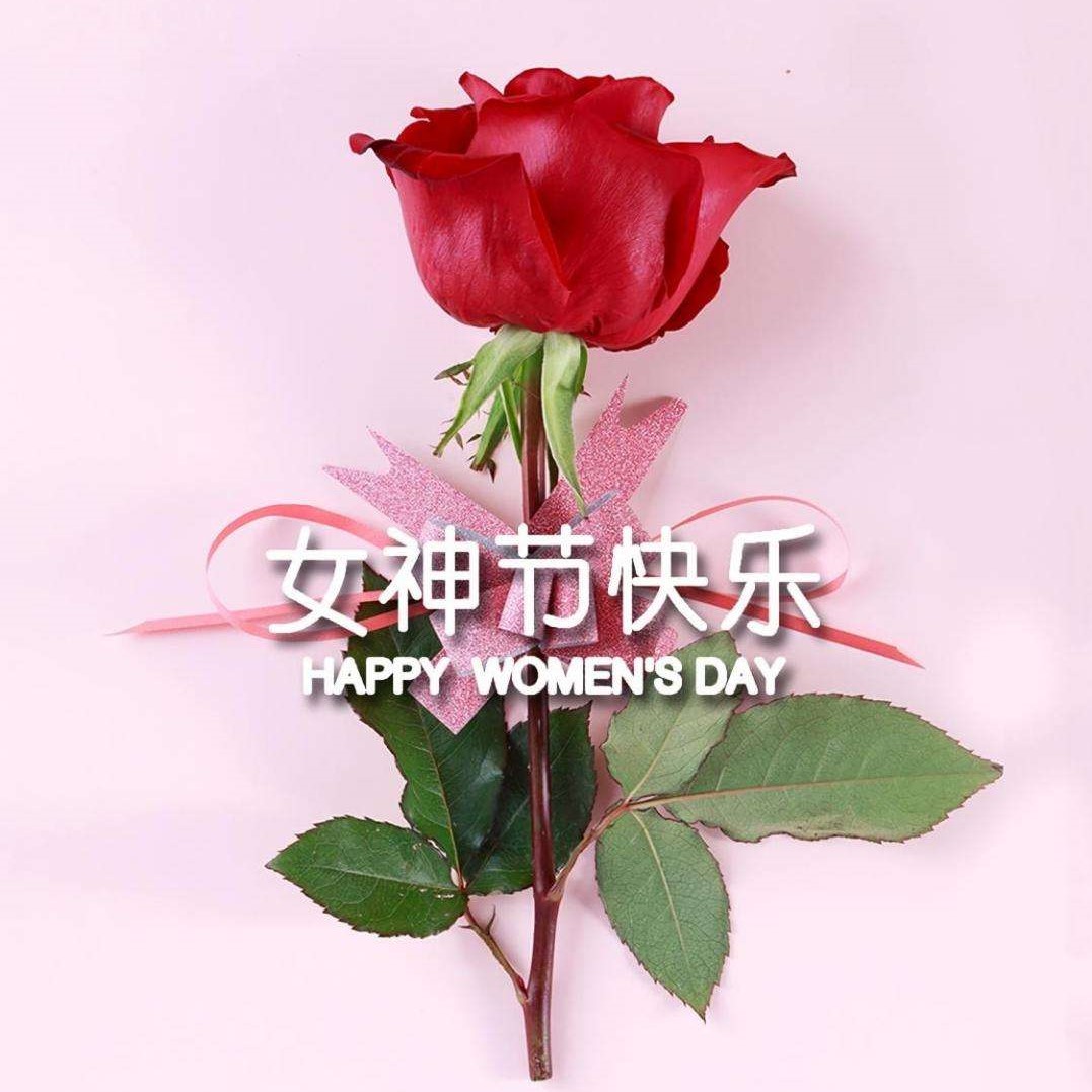 女神節(jié)特輯丨以醫(yī)療力量，筑女性健康